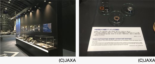 展示写真