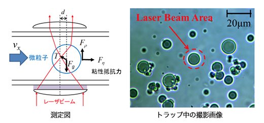 測定図／トラップ中の撮影画像