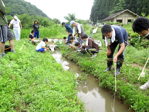 ザリガニ釣り