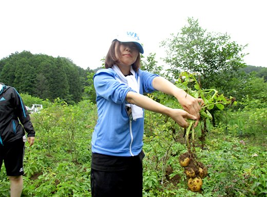 芋ほり