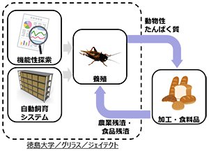 期待できる成果