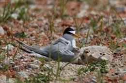 220411_1-2.jpg