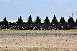 220411_1-3.jpg