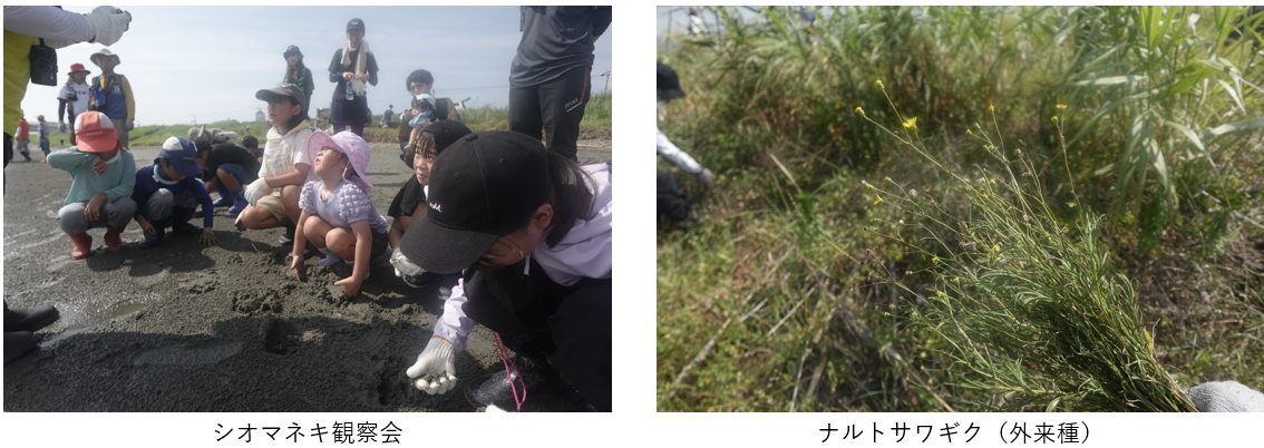 04_tokushima.png