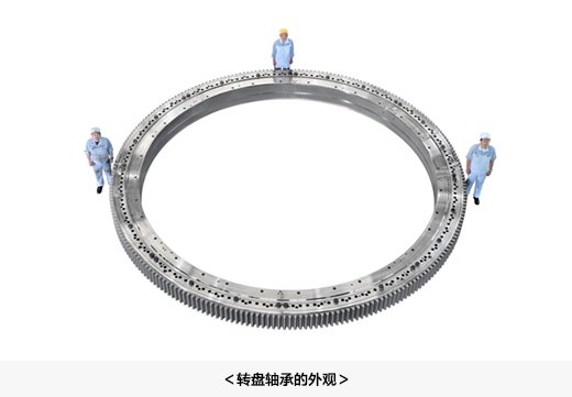转盘轴承的外观