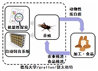 期待的成果
