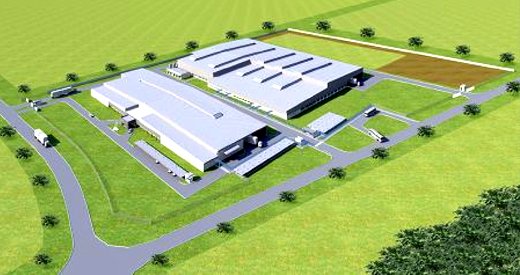 Image of the new plant