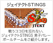 JTEKT STINGS　戦うココロを忘れない、JTEKT STINGS 男子バレーボールチームをご紹介します。