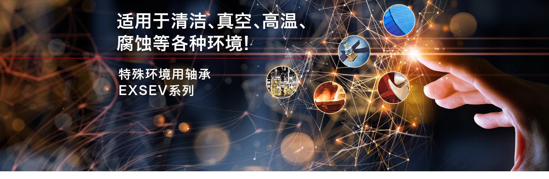 特殊环境用球轴承