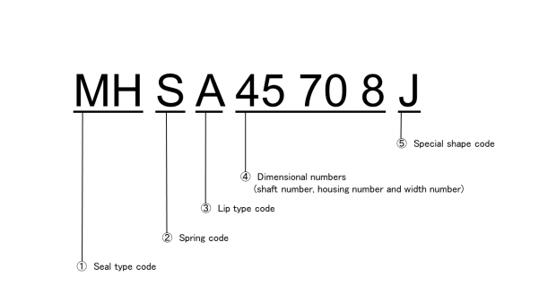 Figure5_en.png