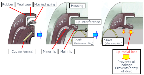 Figure3_en .png