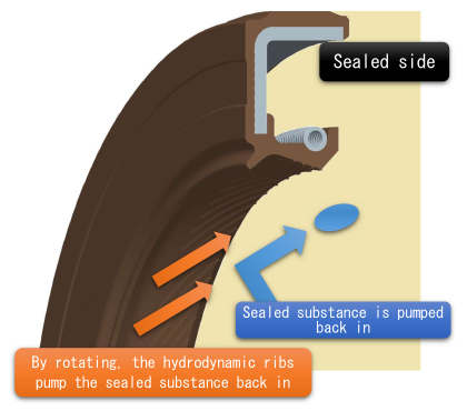 table5_pict_Functionofhydrodynamicribs_en.png