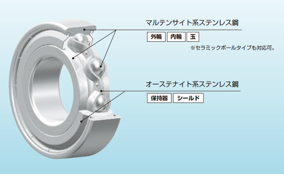 EXSEV&reg;-WS
