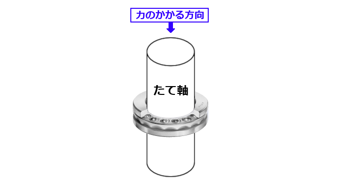column01_0322022.png
